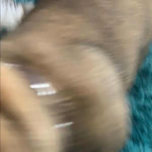 Meet your Posher, Paula